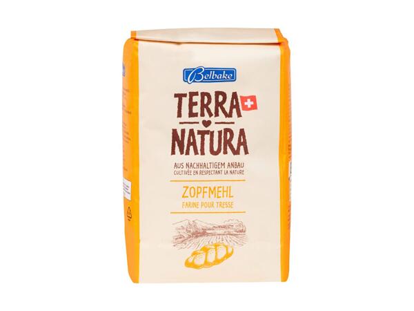 Terra Natura farine pour tresse