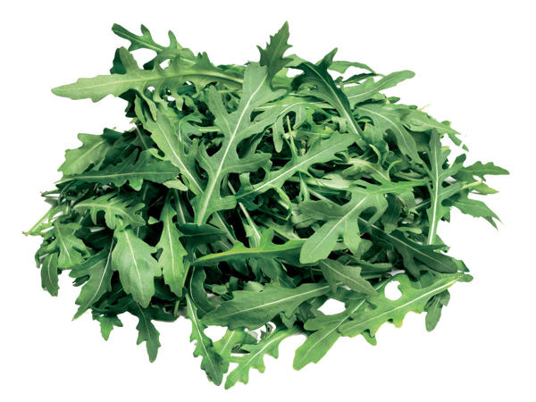 Rucola
