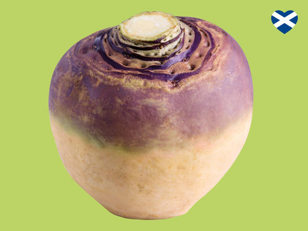 Scottish Swede