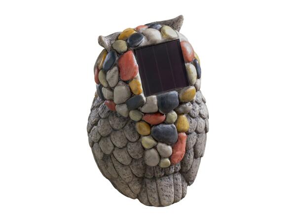 Livarno Home Decorative LED Solar Light