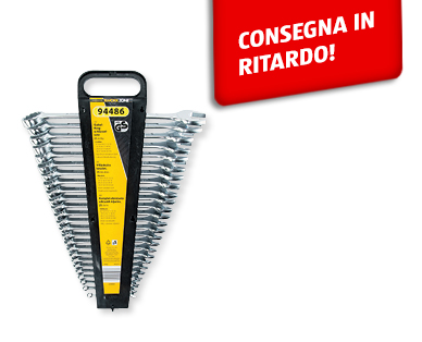 Set di chiavi combinate, 25 pezzi WORKZONE(R)