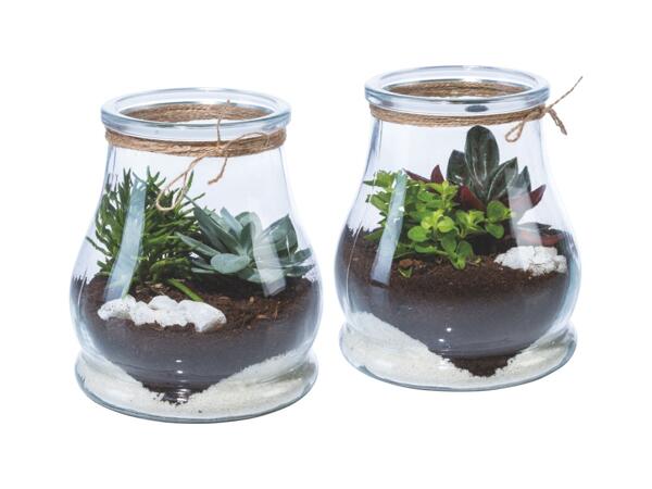 Mini Garden