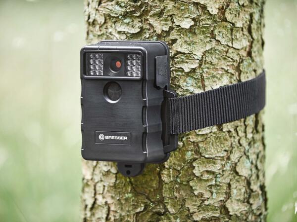 Wildlife Camera