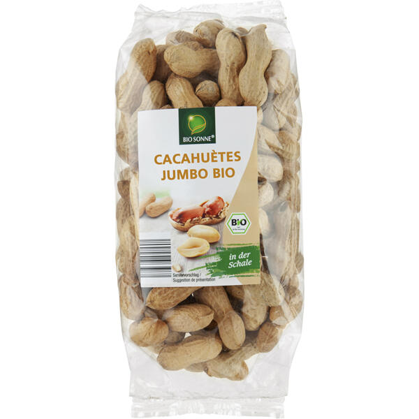 Cacahuètes en coque Bio