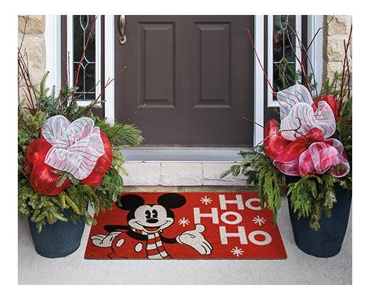 Disney or Grinch 18" x 30" Coir Mat