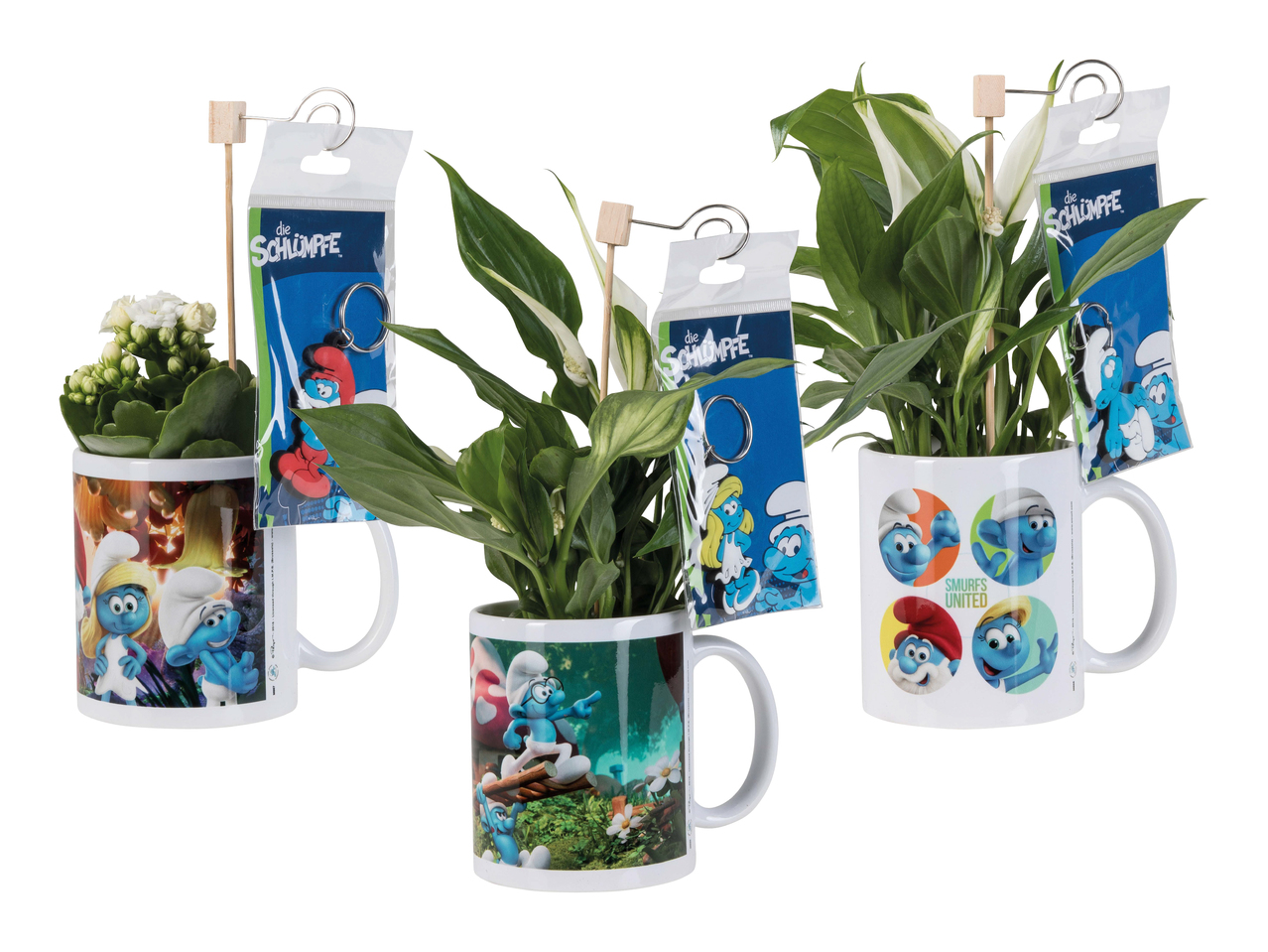 Plante dans un mug Schtroumpf avec porte-clés