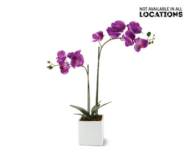 Huntington Home Decorative Orchid or Grass Assortment