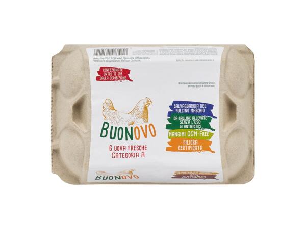 6 Fresh Eggs "Buonovo"