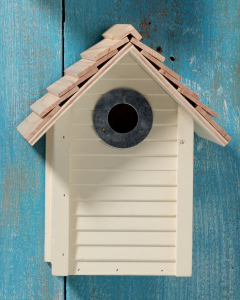 Circle Beach Hut Bird House