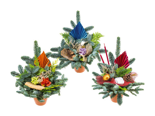 Pot forestier
