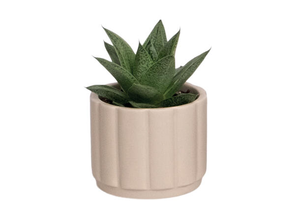 Grøn miniplante i keramik