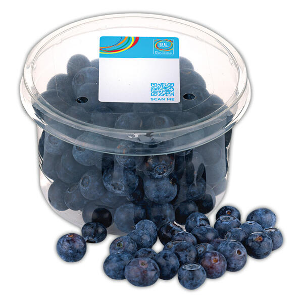Premium Heidelbeeren