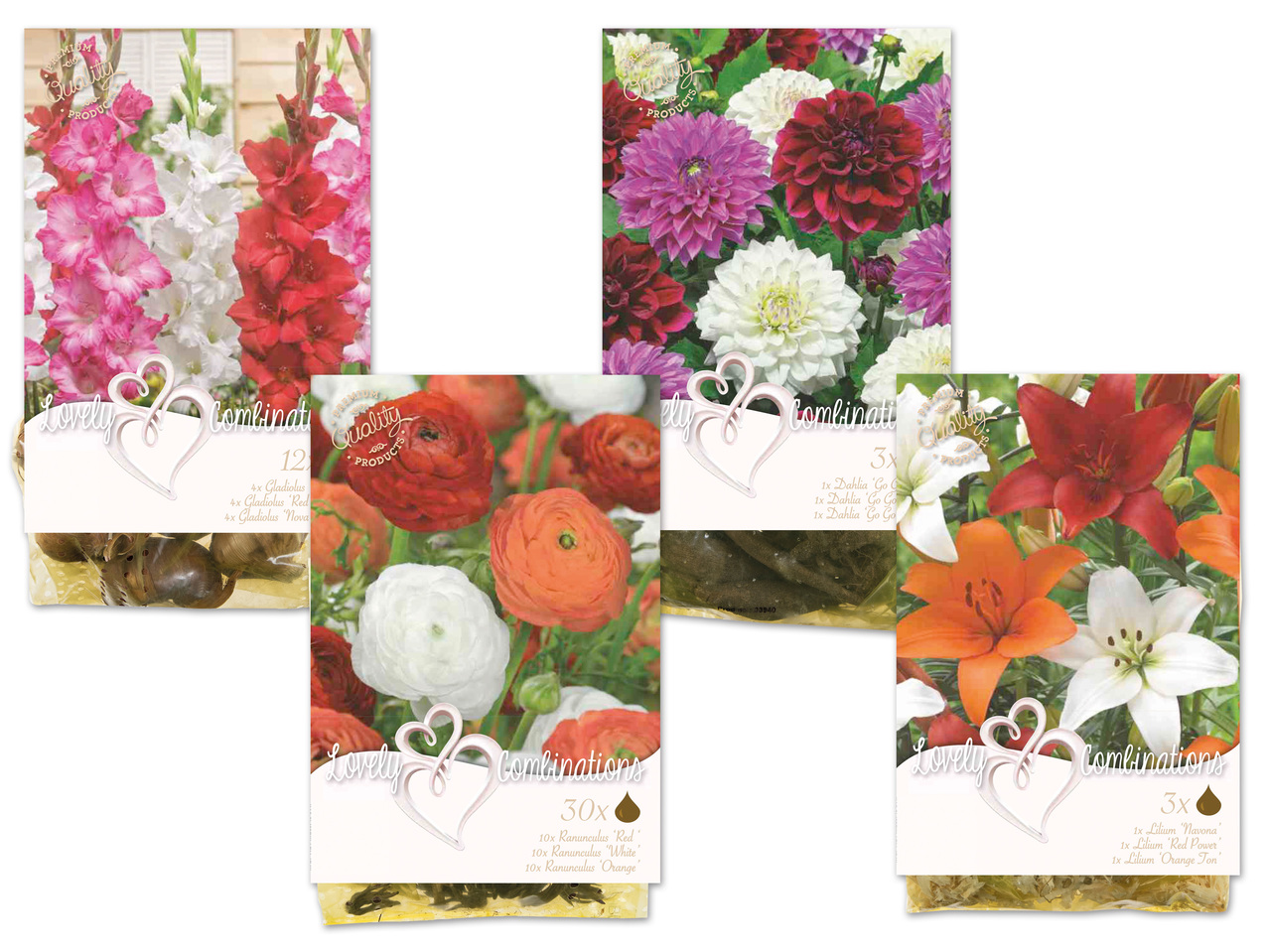 Blumenzwiebel Lovely-Combinations