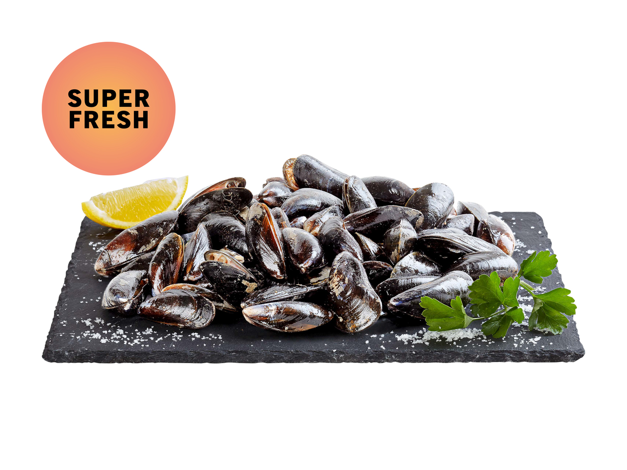 Moules MSC