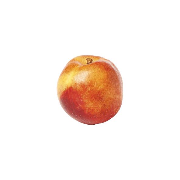 Nectarines