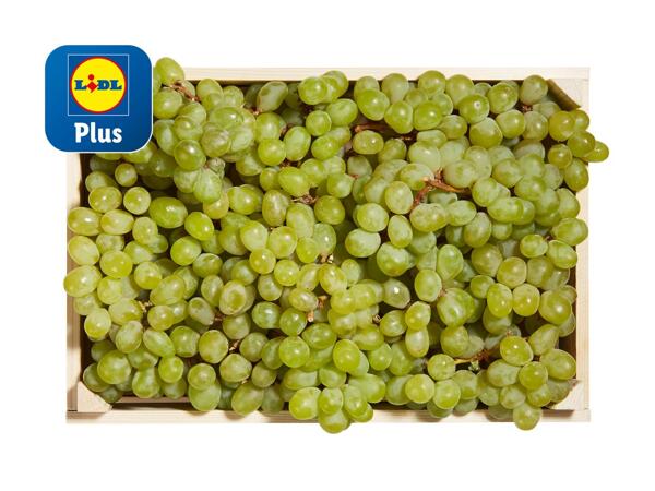 Raisin blanc