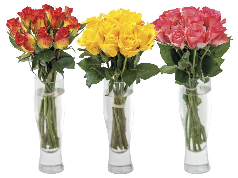 Roses