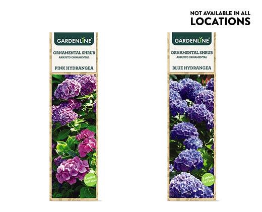 Gardenline 
 Ornamental Shrub Assorted Varieties