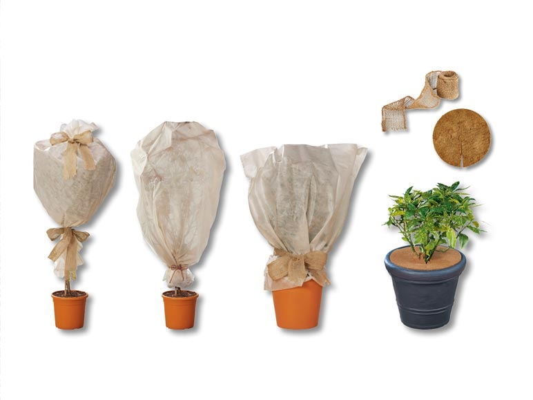 Protection hivernale pour plantes