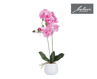 Artificial Plants in Decorative Pots