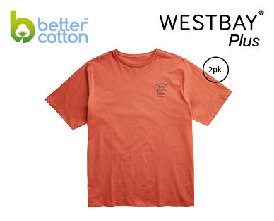Men's Tee 2pk