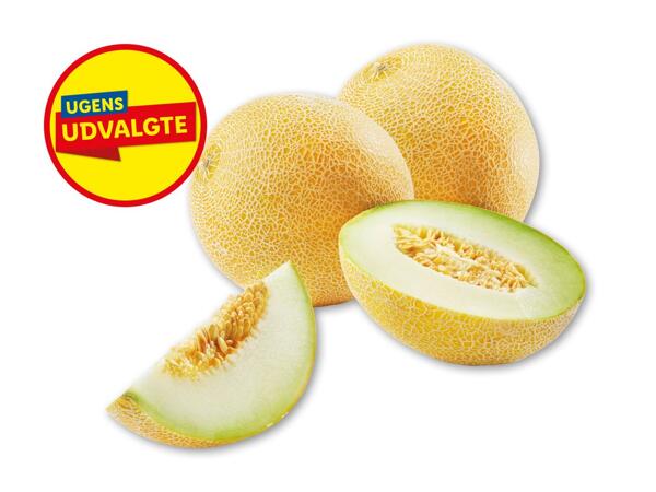 Galiamelon
