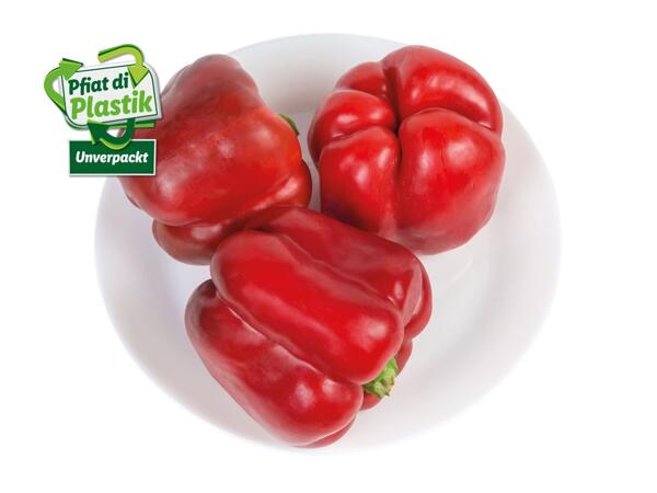 Paprika rot