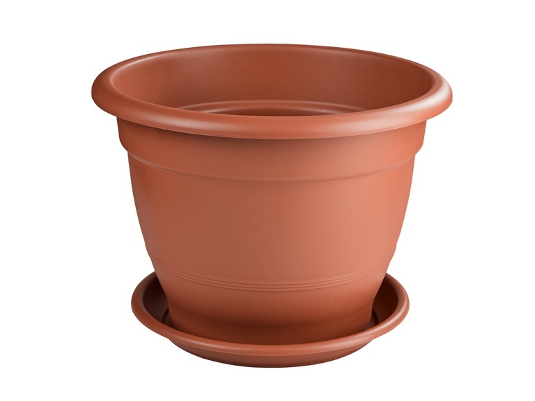 Pot de fleurs
