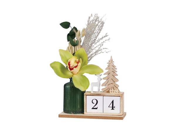 Orchid Advent Calendar