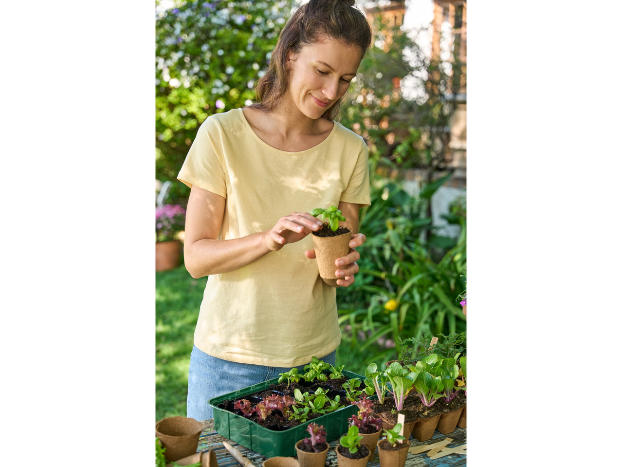 Propagator Set