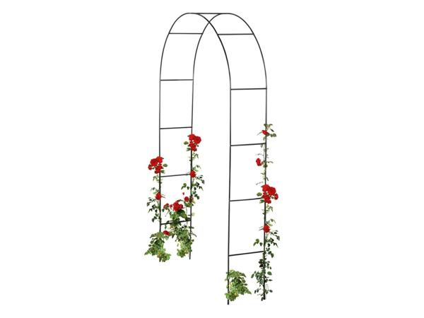 Garden Obelisk or Rose Arch
