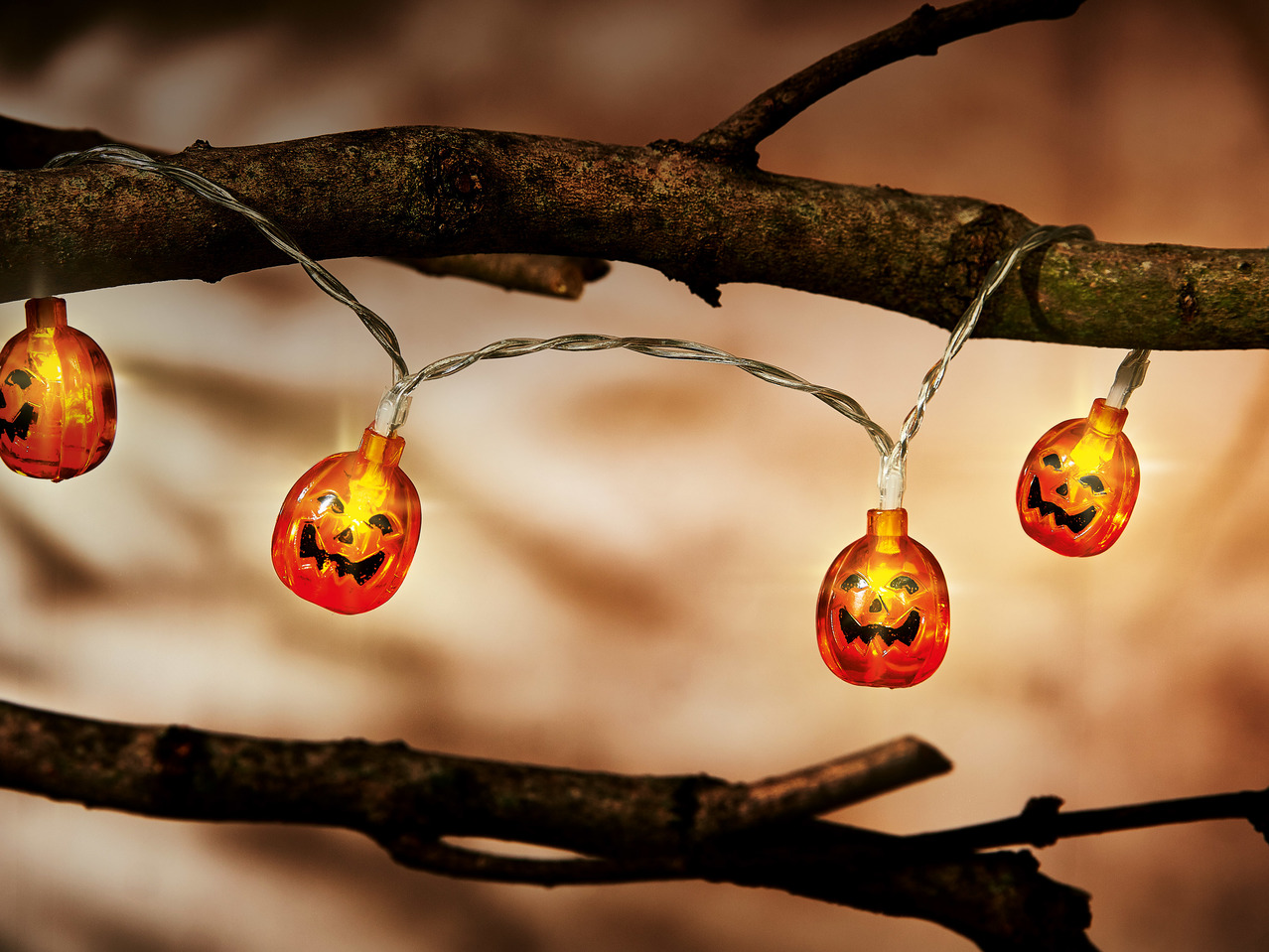 Melinera Halloween LED String Lights1