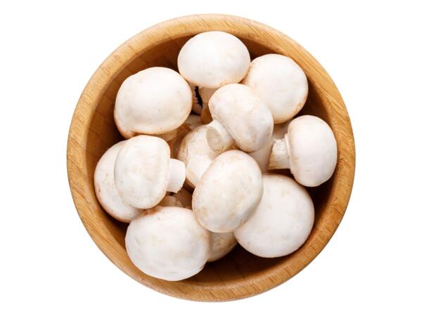Champignons weiß