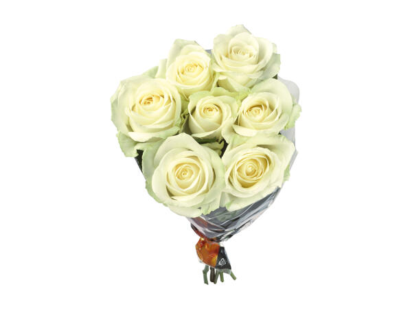 Bunch of Roses XXL