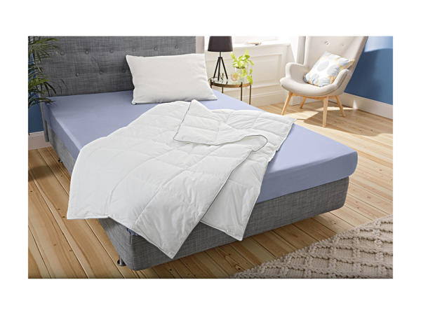 Meradiso Viscose Comfort Pillow1