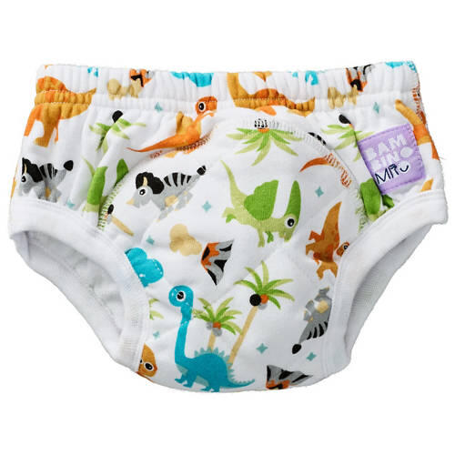 Assorted Potty Training Pants 1 Pack
