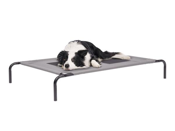 Zoofari Pet Bed