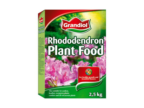 Engrais pour rhododendrons