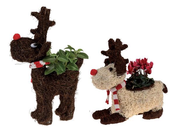 Reindeer Christmas composition