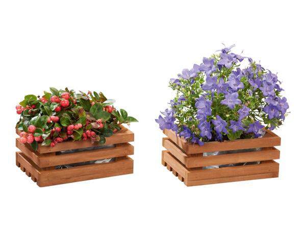Parkside Wooden Planter Set - Set of 2 - Brown