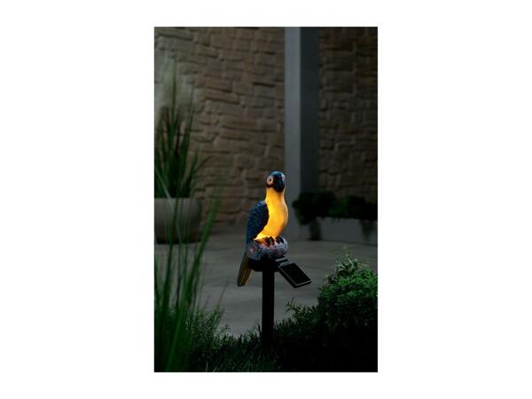 Livarno Home Decorative Solar Light