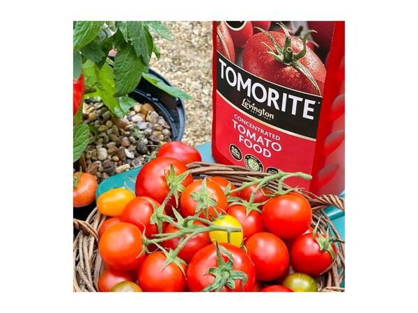 Miracle-Gro & Levington 1L Miracle-Gro Pour & Feed/ Tomorite