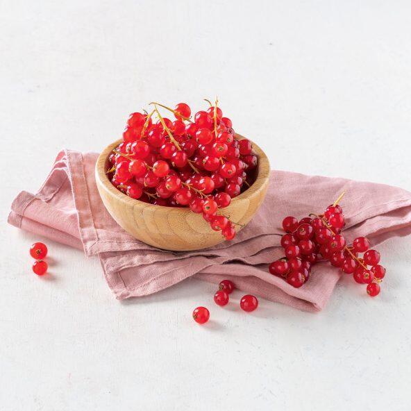 Rote Johannisbeeren