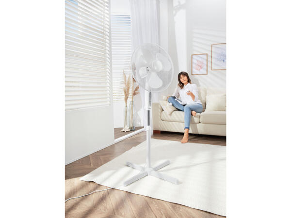Pedestal Fan