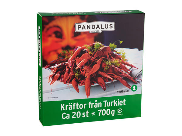 TURKISKA MEDIUMKRÄFTOR