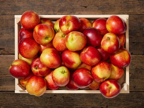 Nectarines XXL