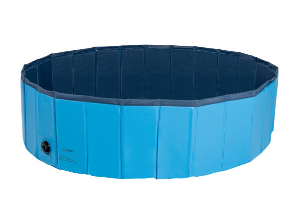 Piscine pour chien