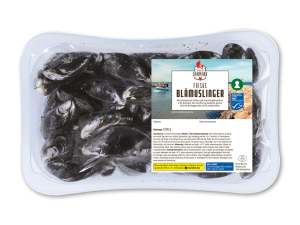 Blåmuslinger