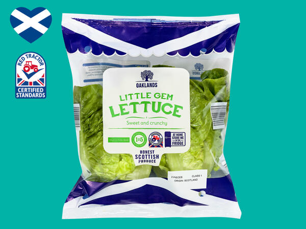 Oaklands Little Gem Lettuce