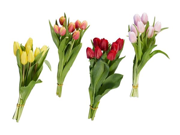 Tulipes
